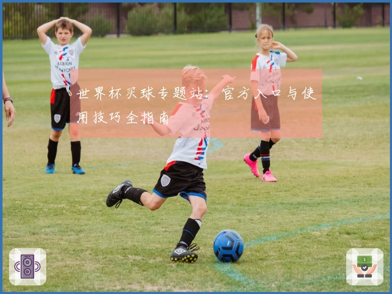 世界杯买球专题站：官方入口与使用技巧全指南