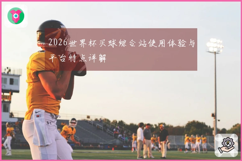 2026世界杯买球综合站使用体验与平台特点详解