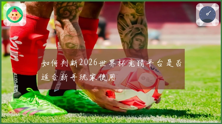 如何判断2026世界杯竞猜平台是否适合新手玩家使用