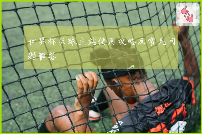 世界杯买球主站使用攻略及常见问题解答