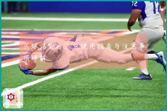买球站官方入口使用指南与注意事项详解