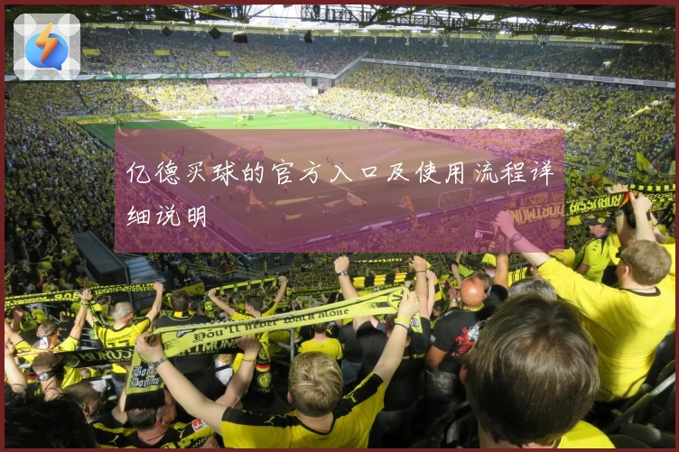 亿德买球的官方入口及使用流程详细说明
