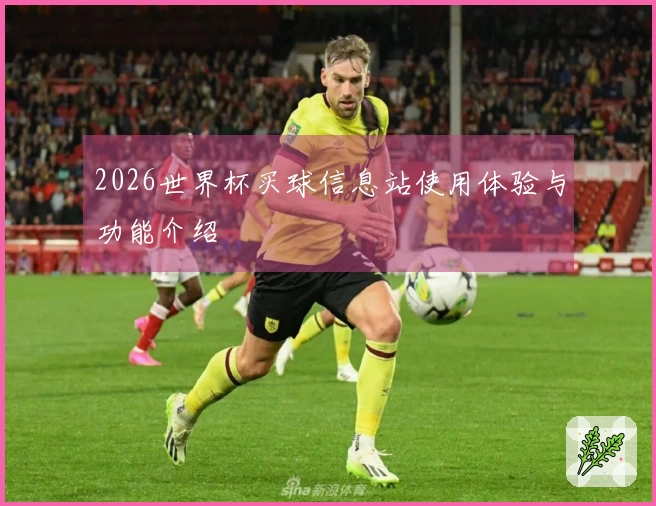 2026世界杯买球信息站使用体验与功能介绍