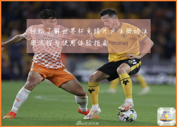 轻松了解世界杯竞猜开户注册的注册流程与使用体验指南