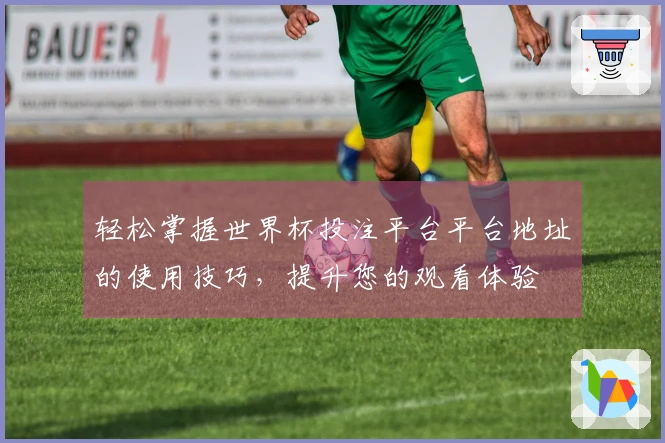 轻松掌握世界杯投注平台平台地址的使用技巧，提升您的观看体验