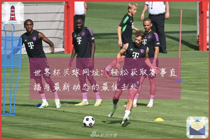 世界杯买球网址：轻松获取赛事直播与最新动态的最佳去处