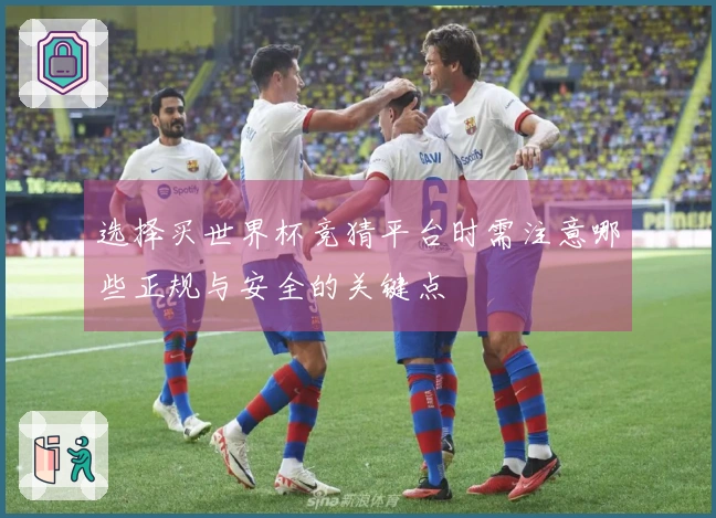 选择买世界杯竞猜平台时需注意哪些正规与安全的关键点