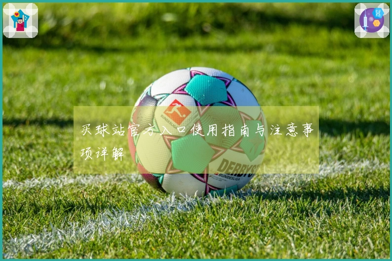 买球站官方入口使用指南与注意事项详解