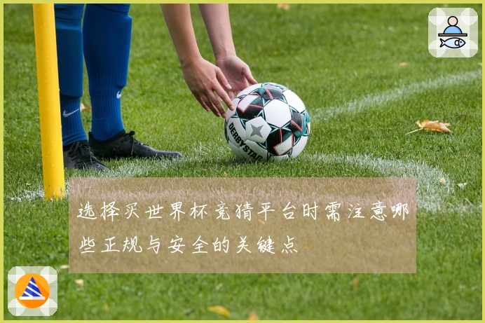选择买世界杯竞猜平台时需注意哪些正规与安全的关键点